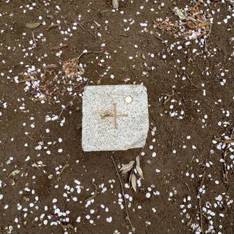 花びらと三角点