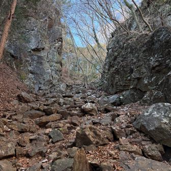 岩ゴロゴロの道。低山では珍しい本格的な岩🪨ルート！