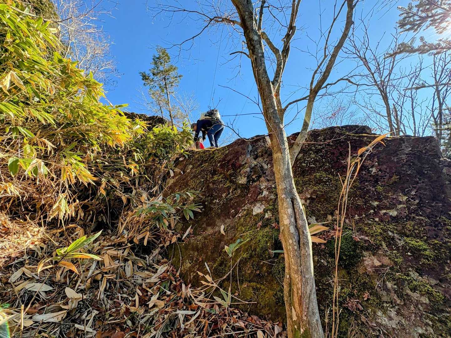御前山 往復コースの写真