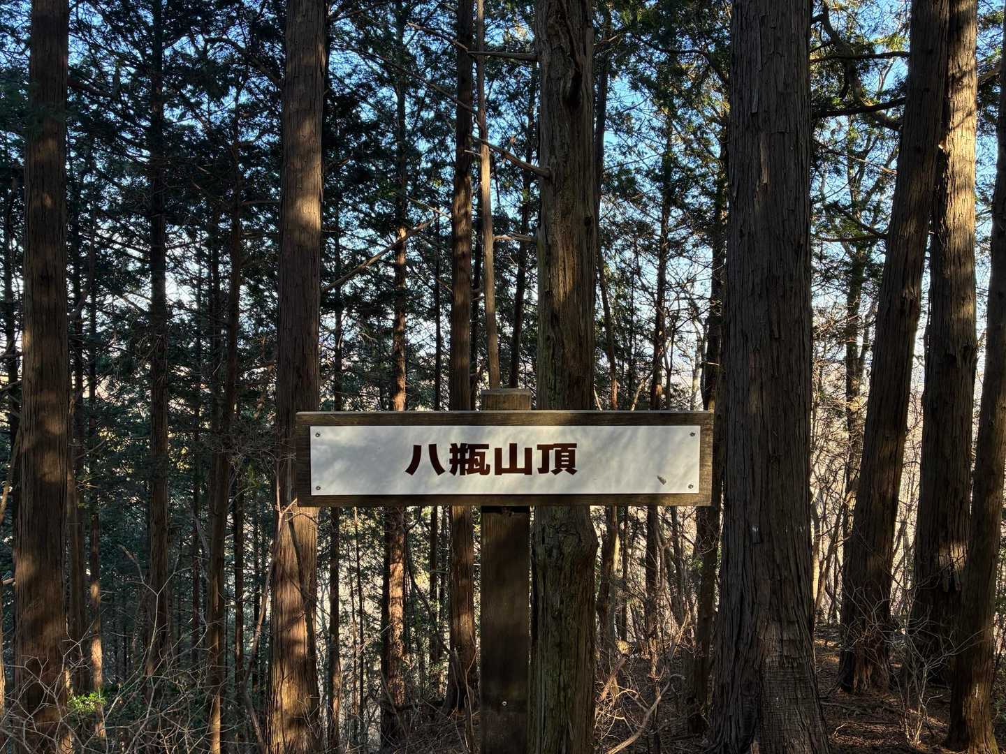 再スタートして
八瓶山⛰️初登頂🙌やつがめさん
前回撤退したのと、今回草刈り頑張ったので感動もひとしお😆
ちなみに山頂まで途中から予想以上の急登でした😅なので下山は激下り😅