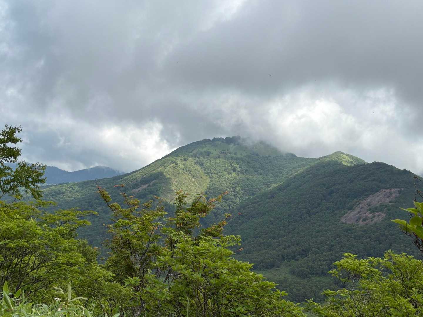 今日は時間が限られているので八間山はお預け🥲八間山方面は雲の中☁️
