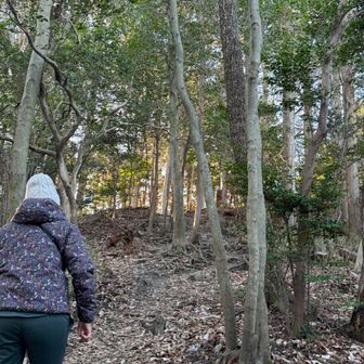 ﾃｸﾃｸ((´∀`)~♪