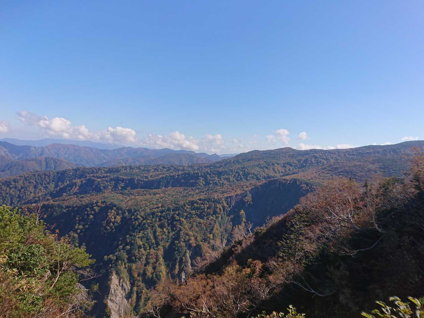 山の裾野は紅葉で色んな色が混じっていました。🍁🍂