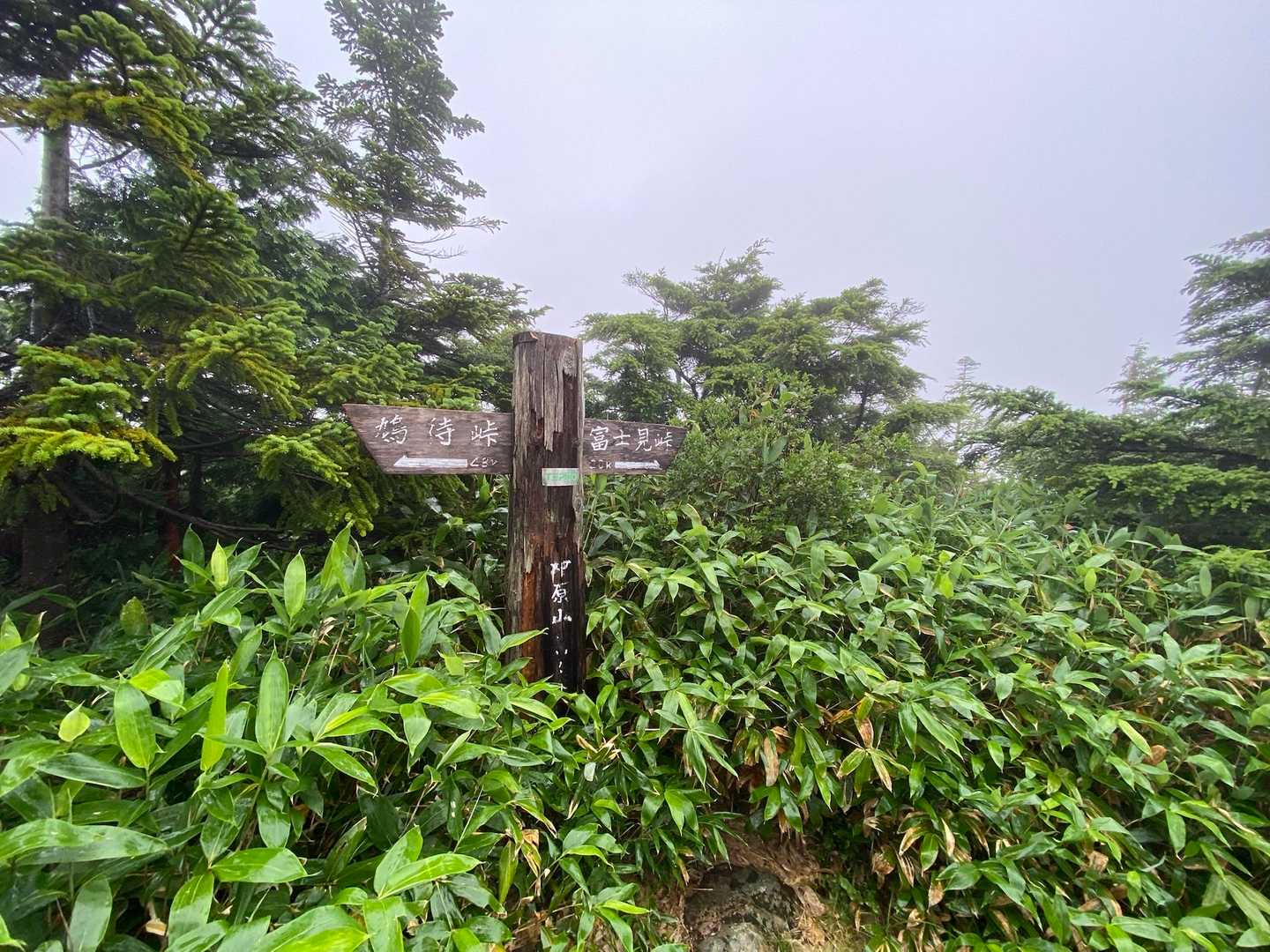 中原山山頂
さとやんの未踏ピークゲット👍