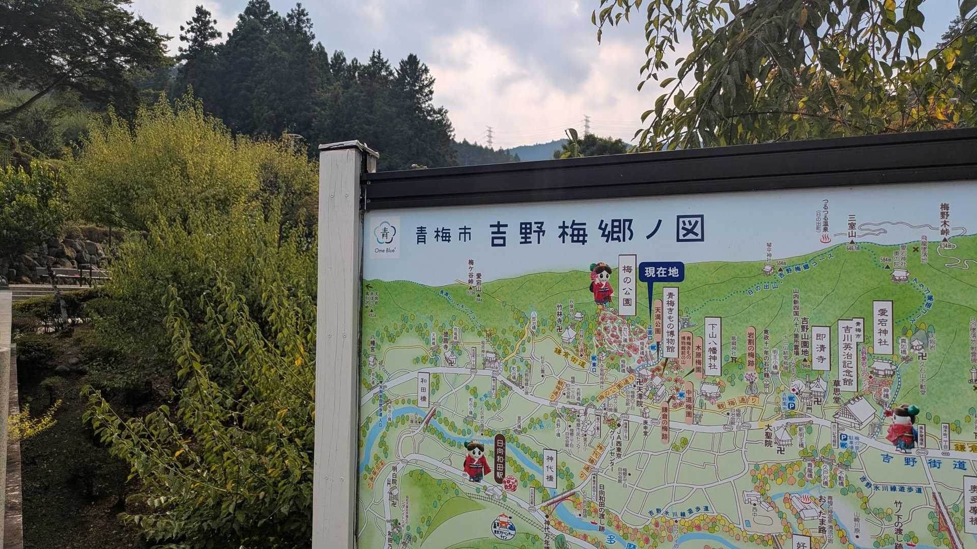 吉野梅林公園　梅も大好き😍
