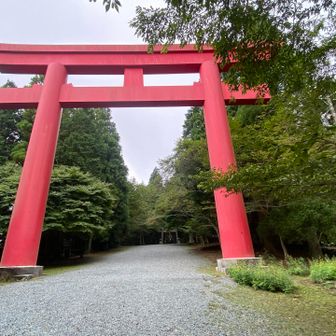 砥鹿神社⛩️