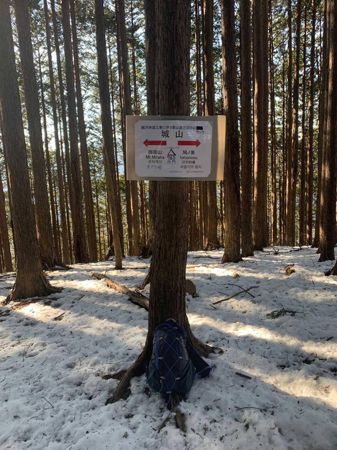 眺望なし😑