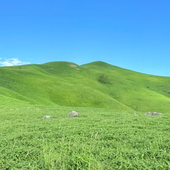 駐車場から1分でこの景色
一番高いところが山頂