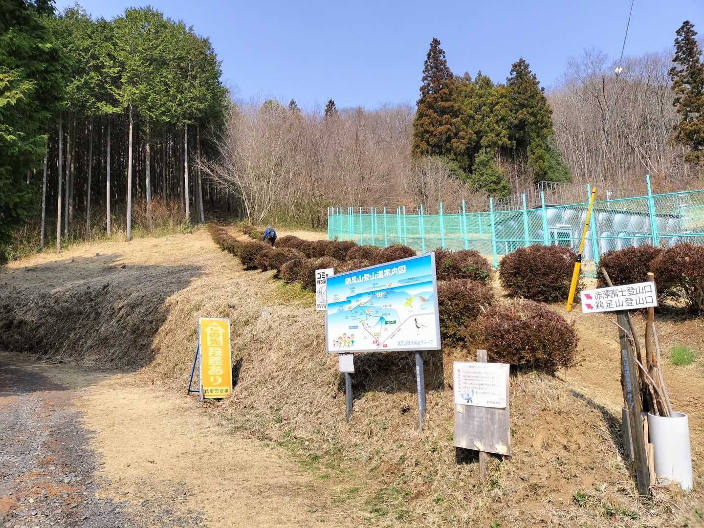 今回は赤沢富士経由なので急登へ