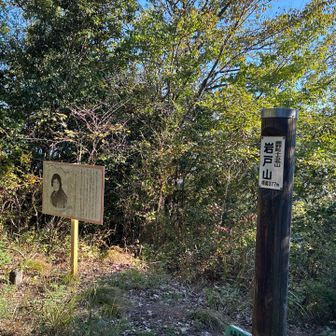 最後の山頂岩戸山
ここからは藤野駅に向かい一気に下山です