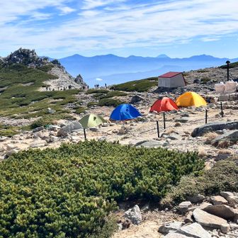 テントが全部違う色で可愛い⛺️