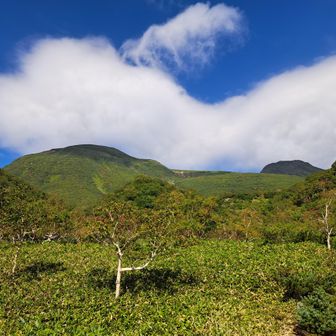 三ツ峰が顔を出す
雲の動きが速い☁️
筋斗雲が流れてくる🐒