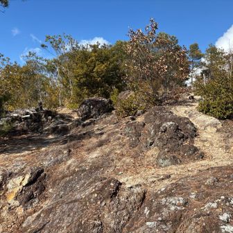 太陽☀️出てきたのでここでお昼🍙