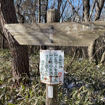 氷妻山
センス◎