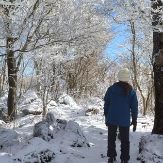 五段城は眺望なしですが霧氷を楽しめました