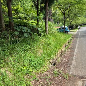 1時間15分のロードが一番暑さにこたえた🥵