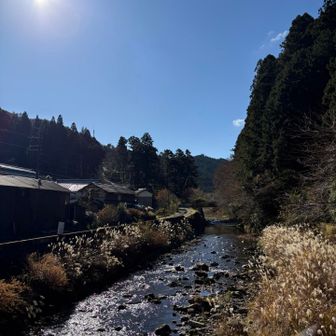 橋からの景色🏞️