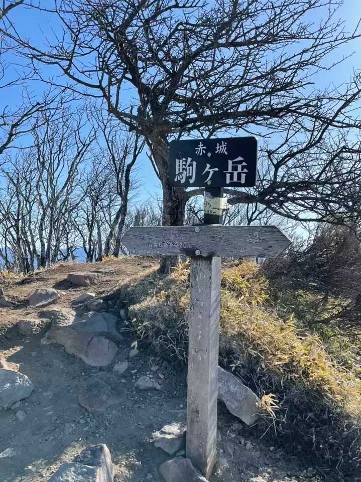 駒ヶ岳の写真