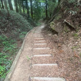 階段を駆け下りていく････