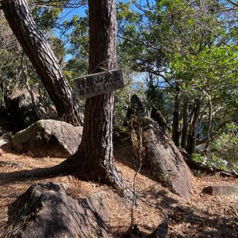 沢の後、それなりの急登をひたすらはあはあ登ると北岳到着