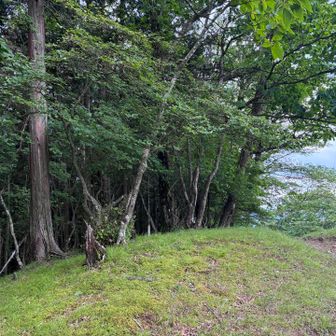 日向沢ノ峰の先、一度は山頂と気づかず通り過ぎてしまったが…