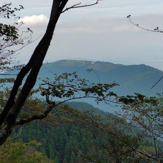 さっき登った大和葛城山
