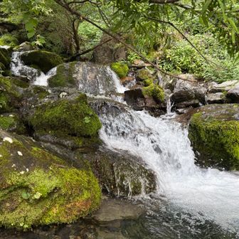 南アルプスの豊かな水