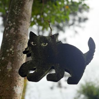 🐈‍⬛どこ行っても筑波山見ちゃうにゃ