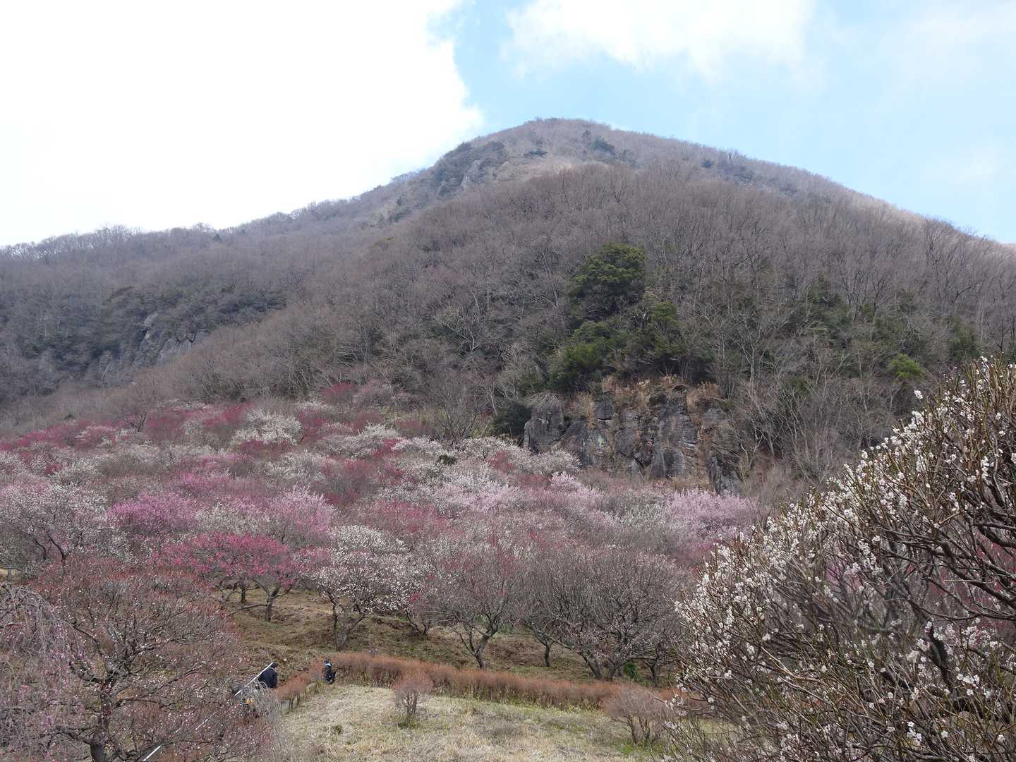 先日よりは綺麗なお姿💕