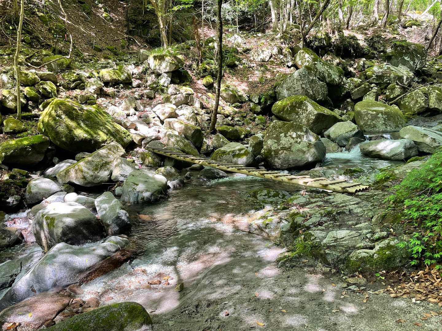 西丹沢ビジターセンターバス停-畦ヶ丸山-モロクボ沢ノ頭-シ 周回コースの写真