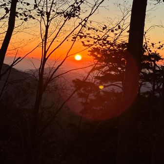 今日も天気が良い🆗