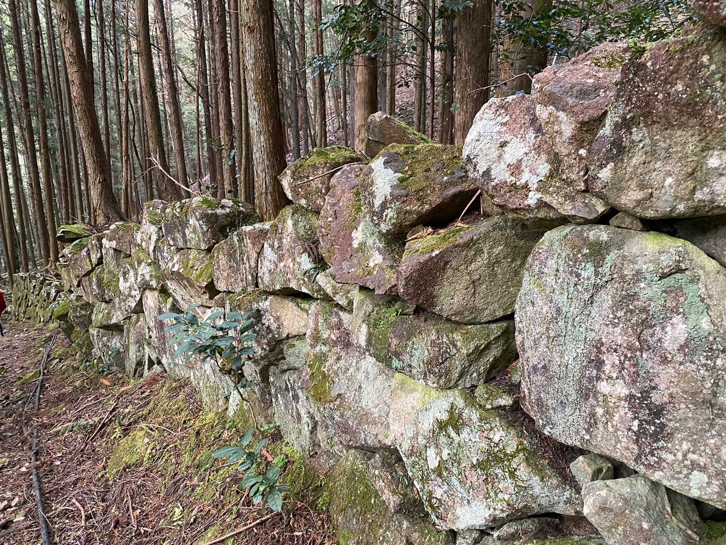 昔の田んぼ（棚田）の名残だとか…
岩がきちんと積まれていました。