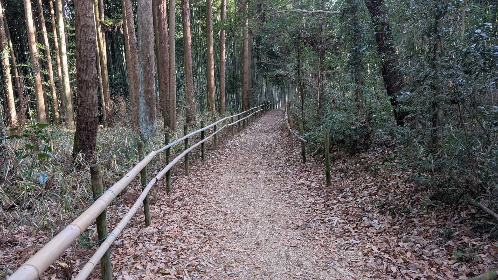何も考えずのなりゆき左回り。