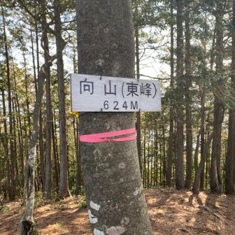向山（東峰）に登頂🥾