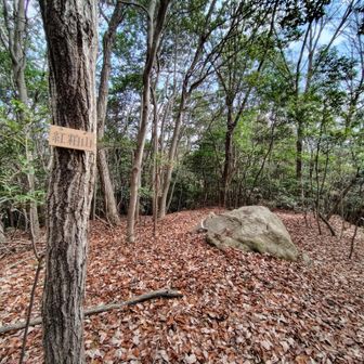 山頂票
では滑りながら降りていきます