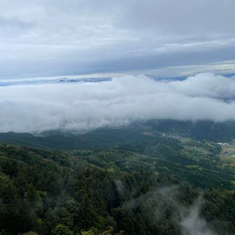 雨の平日とはいえ、正面道は4人としかすれ違わなかった🏃‍➡️