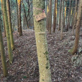 【堂木山】
この辺りも城跡だったようです。