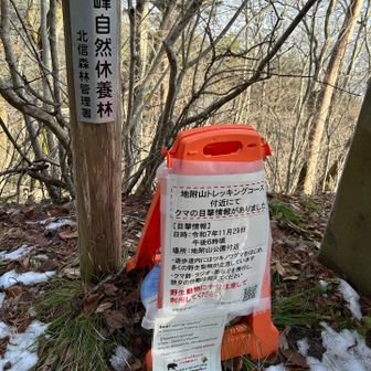 熊注意の表示が昨年に比べて多かった