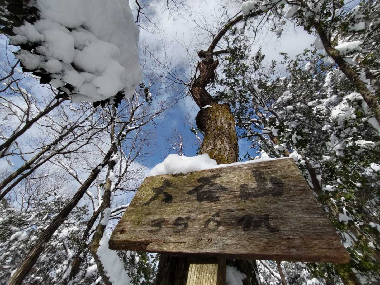 付きました！大谷山
