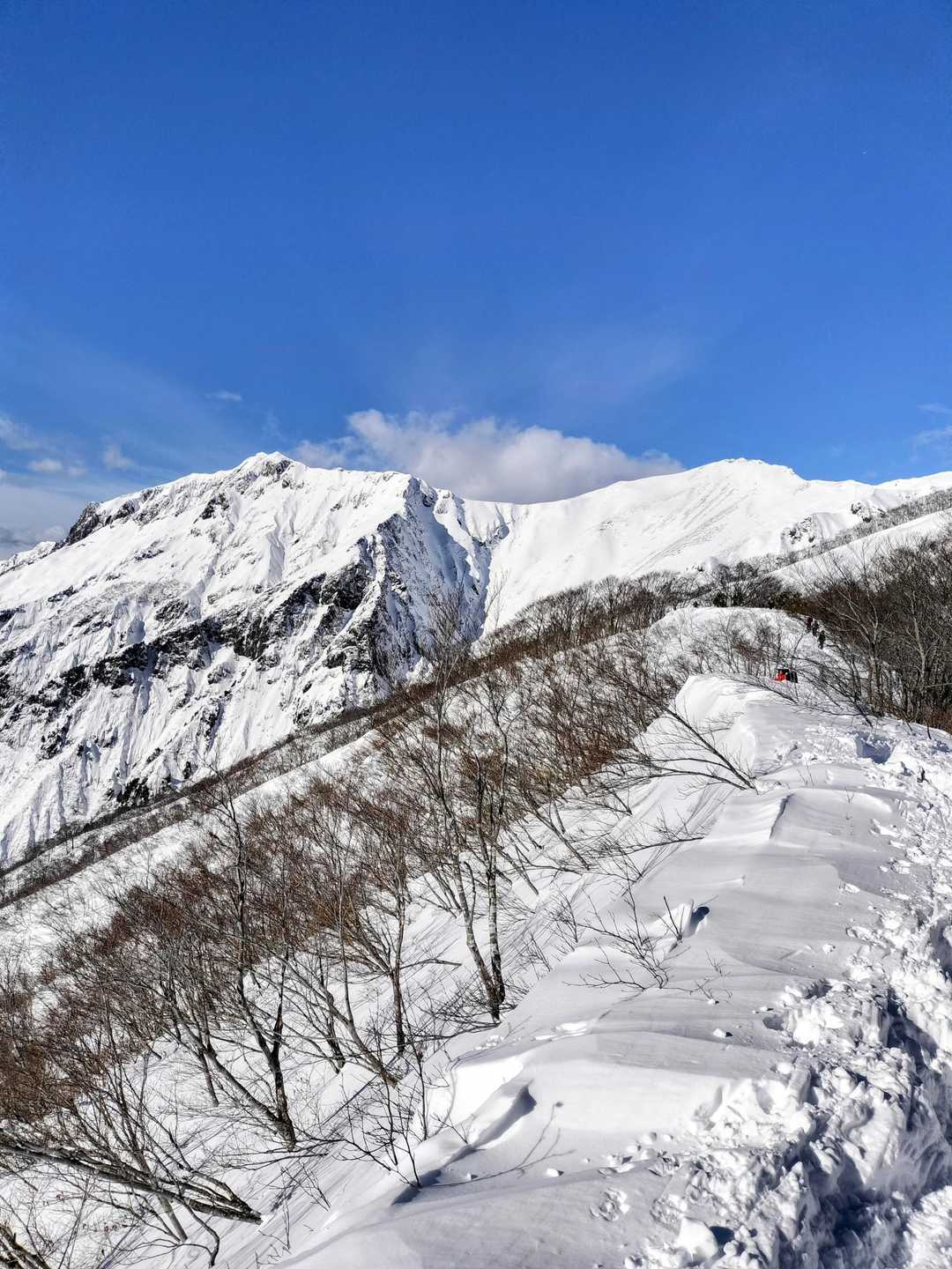 熊穴沢ノ頭-天狗の留まり場-谷川岳-登山入口 縦走コースの写真