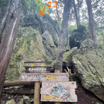 割岩🪨
メタボチェッカーとのことで、近づいてみる👀