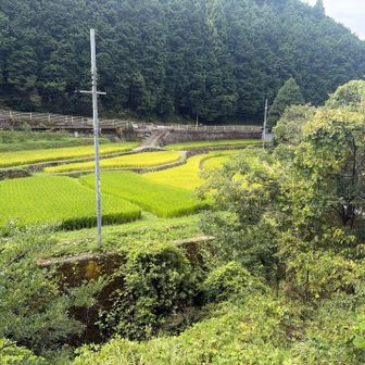 山降りてからの方が癒されるや☺️