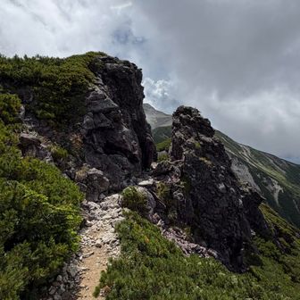 抜戸岳の先の笠新道分岐を超えると抜戸岩に