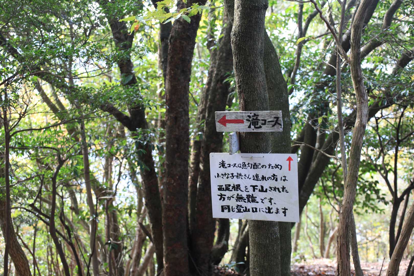 正面ルート登山口-滝ルート登山口-岩石山 周回コースの写真