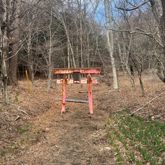 最初はなだらかな登りです