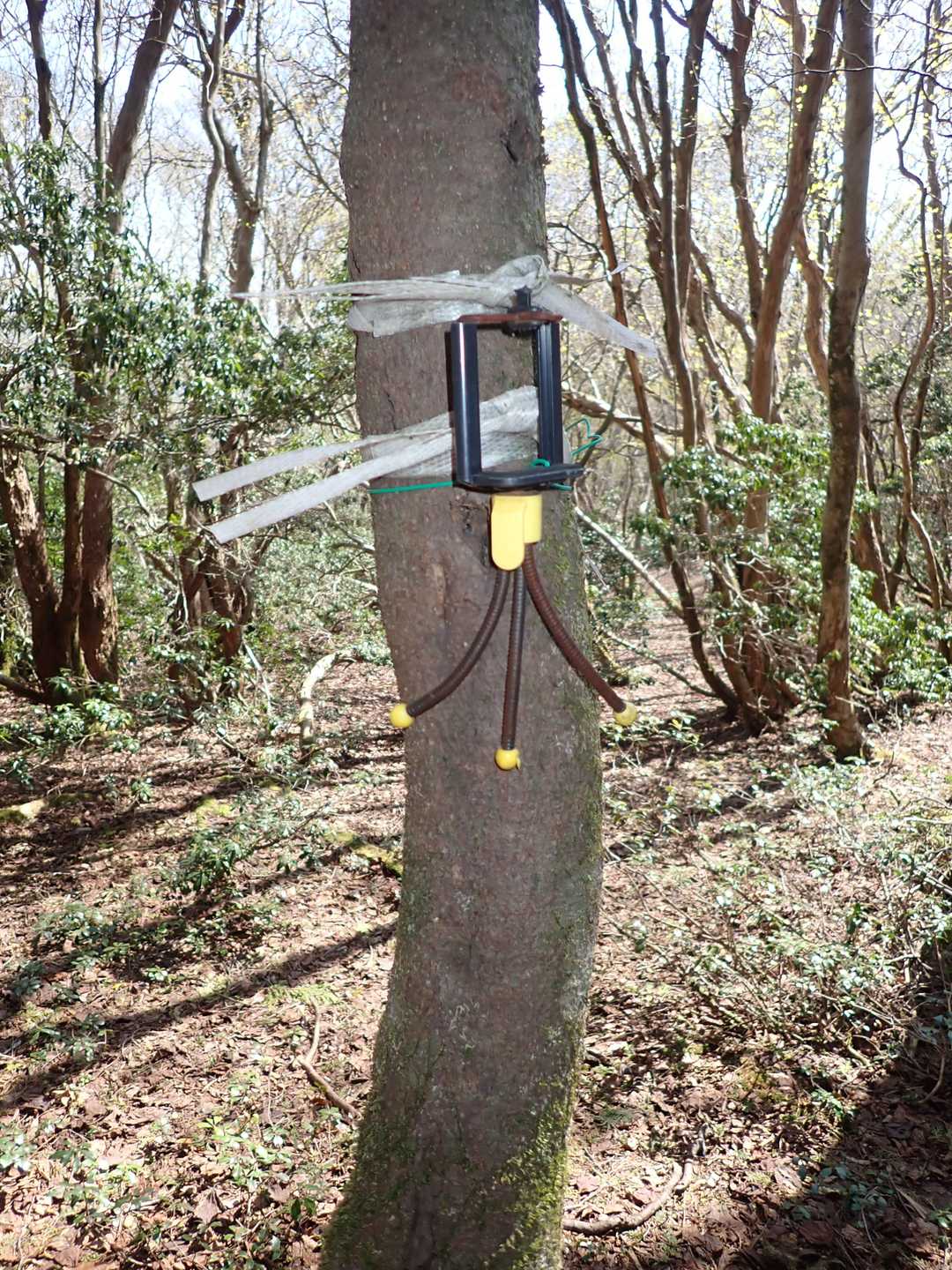 山頂にあるスマフォホルダー