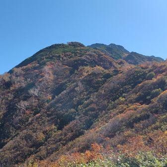 正に錦秋、早月小屋からの剱岳