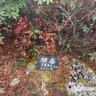 山頂も真っ白
