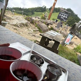ミュウさんと乾杯して特等席でおしゃべりタイム
