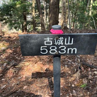 低山なのに最後の最後までおんなじ調子で
足を使う💦